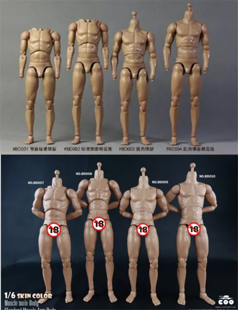 COOMODEL 1/6 Male Flexible Body 12" Model Fit Hot Toys Action Figure Head Toys