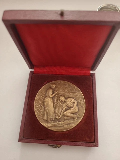 médaille bronze