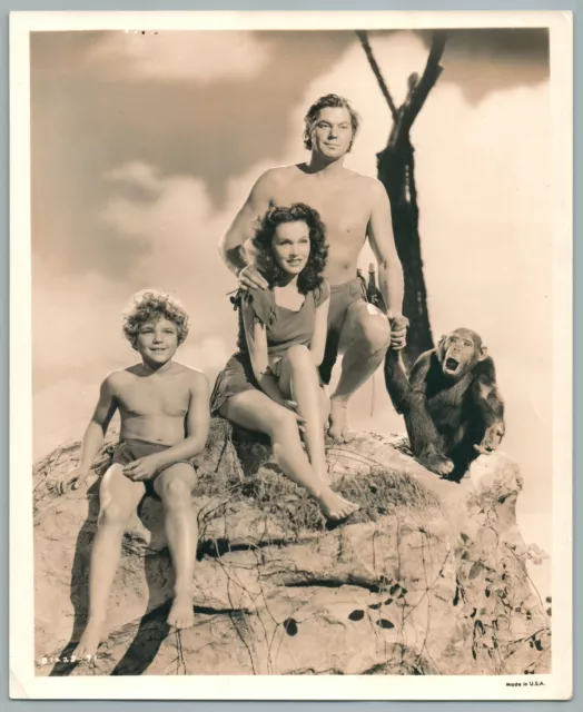 1939 Tarzan Trouve Un Fils Weissmuller Photo Vintage Originale Movie Cinema Film