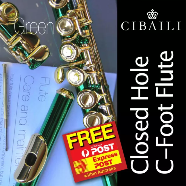 GREEN and GOLD C foot Flute • BRAND NEW • Case • Perfect For School Student •