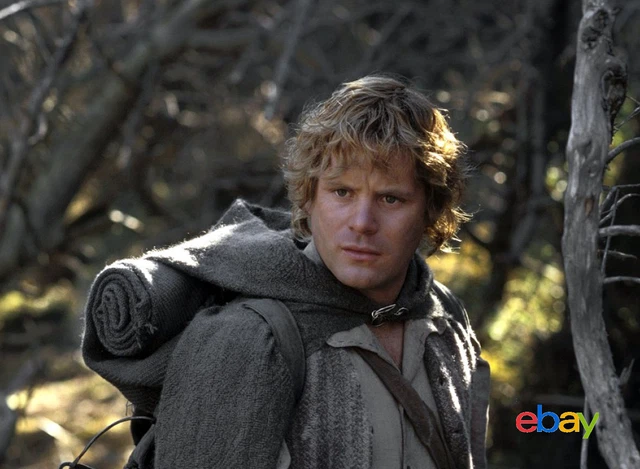 Photo Le Seigneur Des Anneaux - Le Retour Du Roi - Sean Astin /11X15 Cm #1