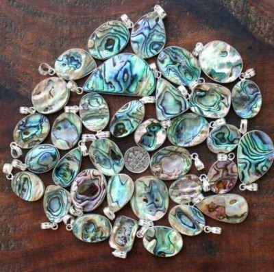 CHIC Naturel Arc-en-Ciel Coquille D'Ormeau 20 Pièces Lot Gemme Plaqué Argent Chic 