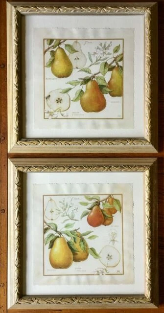 Southern Living At Home A Pair Of Pears Prints Set Of 2 Framed Meg Page Fruit