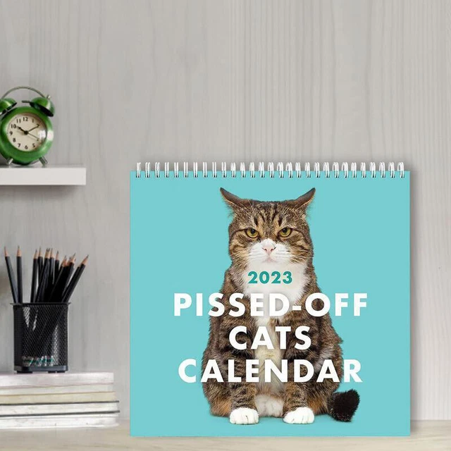 2024 PISSEDOFF CATS Calendar / Funny Cat Wall Calendar 14.99 PicClick
