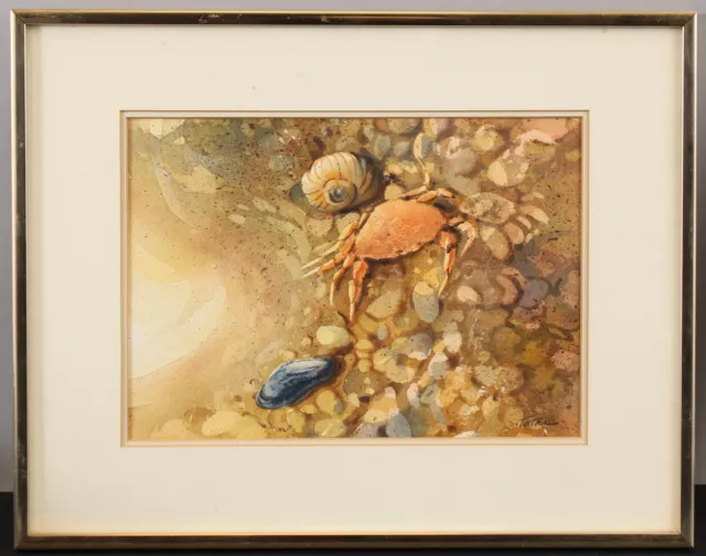 Beach Crab Seashell Painting, Signed Salvatore Tortora Still Life Watercolor NR