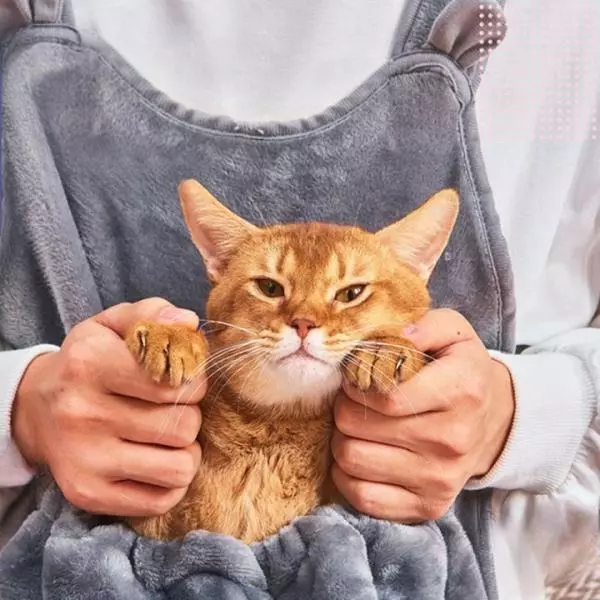 Tablier De Transport Pour Animaux De Compagnie, Sac De Transport à Bandoulière