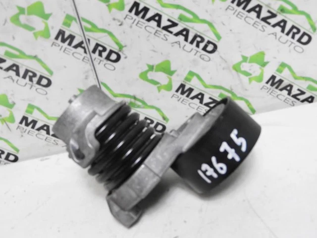 Galet tendeur  RENAULT KANGOO 2 PHASE 2 1.2i - 16V TURBO TCE 115/R:14297984