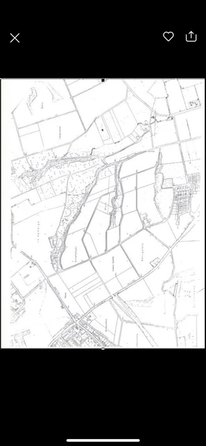Anteil Golfplatz 20500qm aktuell verpachtet