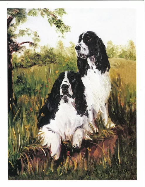 English Springer Spaniel Pair Sitting Notecard Set - 12 Notecards Ruth Maystead