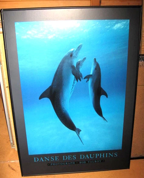 『Danse des Dauphins, 1989』 Bob Talbot Danse Des Dauphins, Photograph, Bob Talbot - Wall Art
