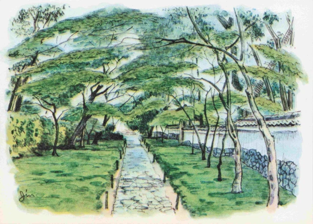 Sketch Of Kyoto Japan Japanese Vtg Postcard #3  Saihoji Temple Garden