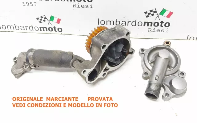 POMPA ACQUA CARTER INGRANAGGIO  COMPLETA Aprilia Pegaso 650 660 Strada 2005 2011