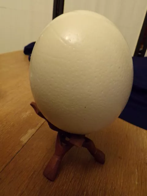 Large Ostrich Egg 6" Tall x 16" Diameter For Arts & Crafts, Painting, Home Decor