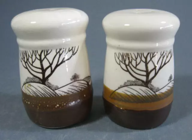 Retro/vintage 70s ceramic chunky pottery salt & pepper shakers