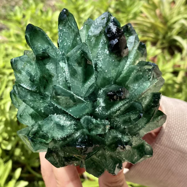 1.58LB New Find Green Phantom Quartz Crystal Cluster Mineral Specimen Healing
