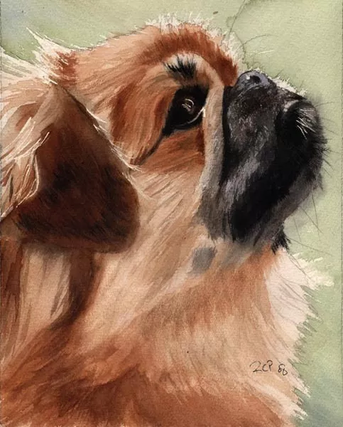 Giclee PRINT Pekingese Dog Watercolor Painting Art Pet Portrait
