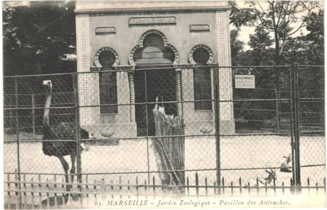 CPA- Carte postale  France-Marseille Jardin Zoologique Pavillon des Autruches