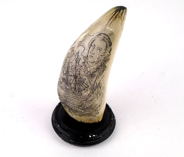 Sperm Whale Tooth Scrimshaw The Adventure Captures The Quedagh Replica