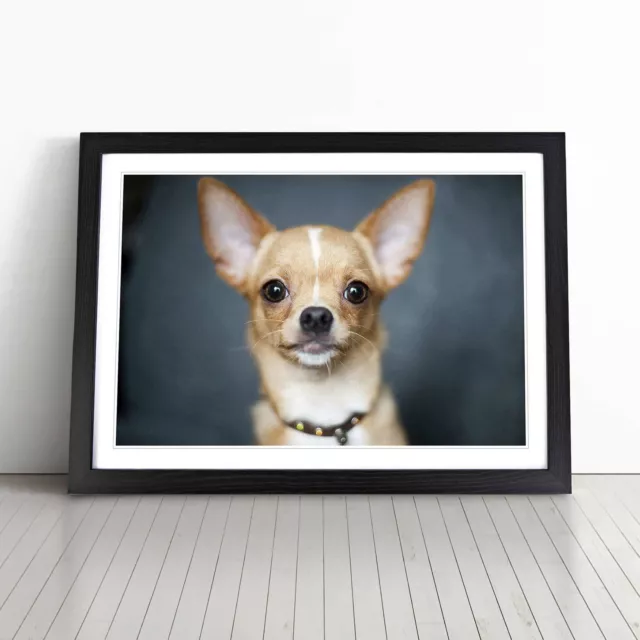 Chihuahua Dog (2) Wall Art Print Framed Canvas Picture Poster Decor Living Room