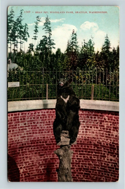SEATTLE WA BEAR Pit, Woodland Park Zoo, Washington Vintage Postcard £7.