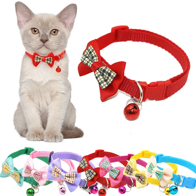 Collier Jouet Interactif Pour Chaton Avec Plumes - Ajustable 17-27 Cm - Stimule Jeu Et Exercice - 11