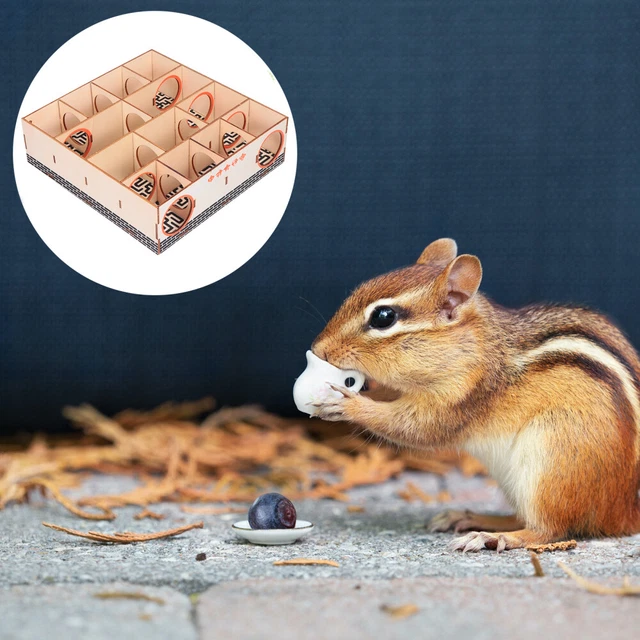 Hamster-Spielzeug Rattenlaufstall Kleines Tierlabyrinth Haustierhaus Der Zaun