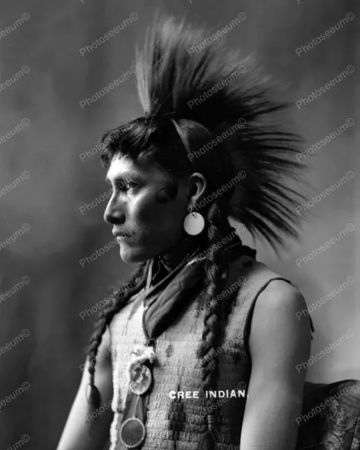 Cree Indian Vintage 8x10 Reprint Of Old Photo