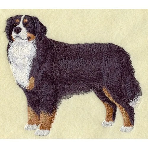 Embroidered Ladies Jacket - Bernese Mountain Dog C9616 Sizes S - XXL