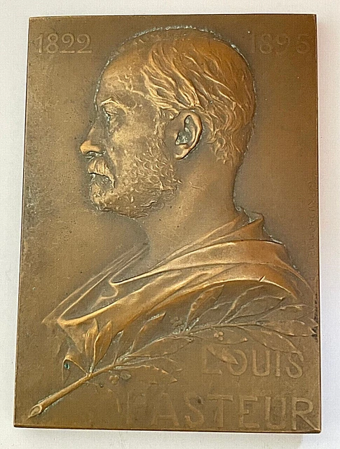 Médaille Louis Pasteur Bronze 1888 - 36 Mm - Par Villeneuve Et O. Roty - France - Collection