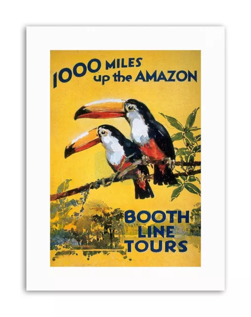 Amazon Toucan River Brazil S.america Jungle Rain Forest Vintage Canvas Art Print