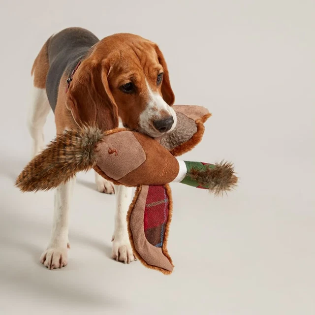 Joules Pheasant Dog Toy