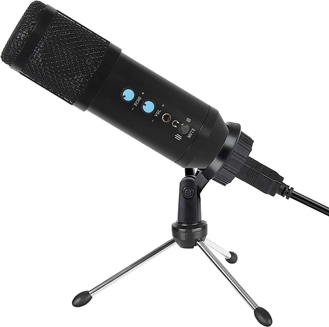 SENSITIVE PICKUP PURE Sound Professional Condenser Microphone £15.60