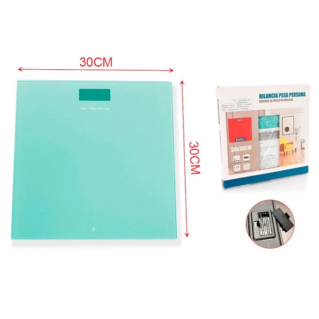 BE100P - Bilancia elettronica programmabile, risoluzione 2 - 5 gr - Kg. 100