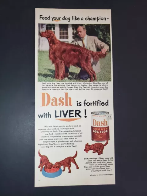 PRINT AD 1952 Irish Setter Dash Dog Food Champion King Size Richard Cooper Vtg