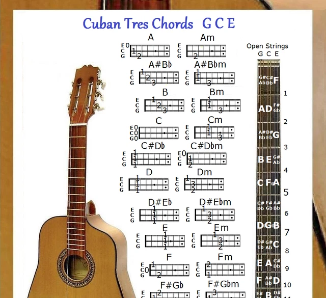 Details About Mandola Chords Chart Note Locator Small vrogue.co