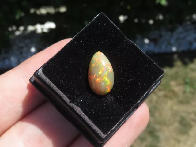 Gems Opale Multi-Couleur Cabochon Ethiopia 3,85 CT