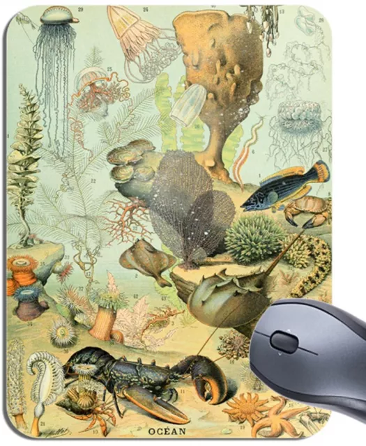 Adolphe Millot Vintage Ocean Sea Life Art Mouse Mat. Marine Chart Mouse Pad