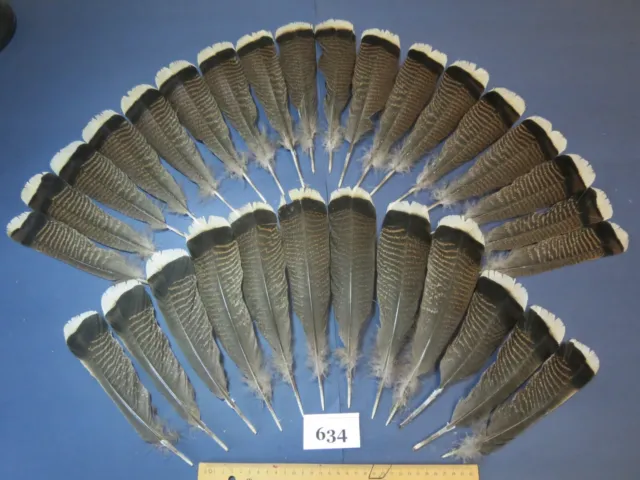 30 pcs Bronze Turkey Tail Feathers, Fly tying,Saltwater fish,Hybrid Turkey (634)