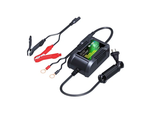 SKYRICH Mainteneur Chargeur de Batterie Lithium Gel Acide YT16A Charger Batterie