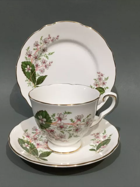 Royal Stafford Bone China Tea Cup, Saucer & Plate Trio