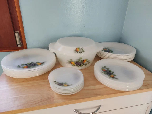 Lot De 9 Assiettes Creuses Arcopal – Déco Florale – Multicouleur – Occasion