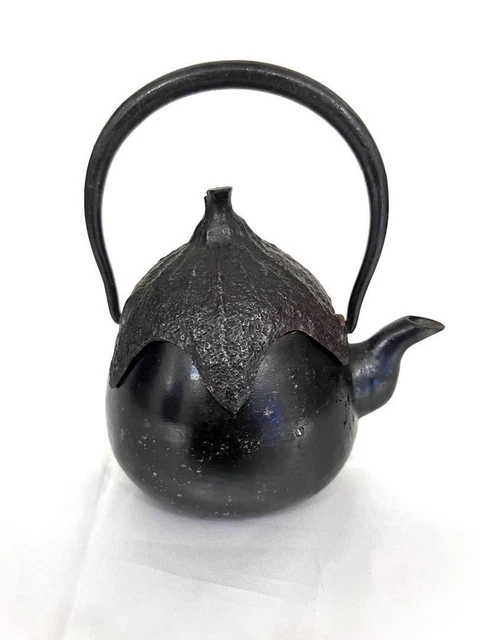 Nambu Tekki Japonés Tradicional Hierro de Té Tetera Olla Berenjena Forma J1050