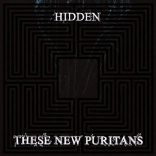 These New Puritans Hidden (CD) Album