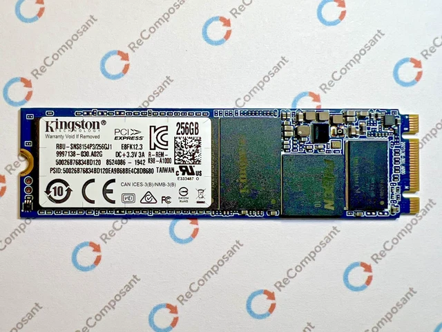 Barrette SSD SanDisk 256Go Modèle SDNP 655-1838 D'occasion