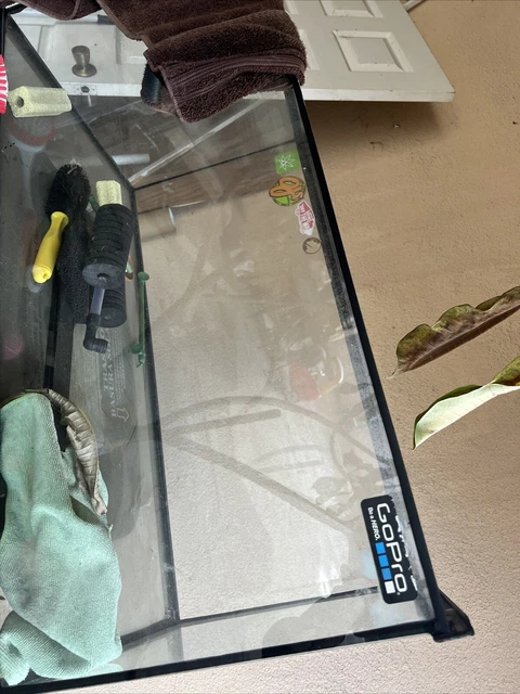 fish tank 60 gallon