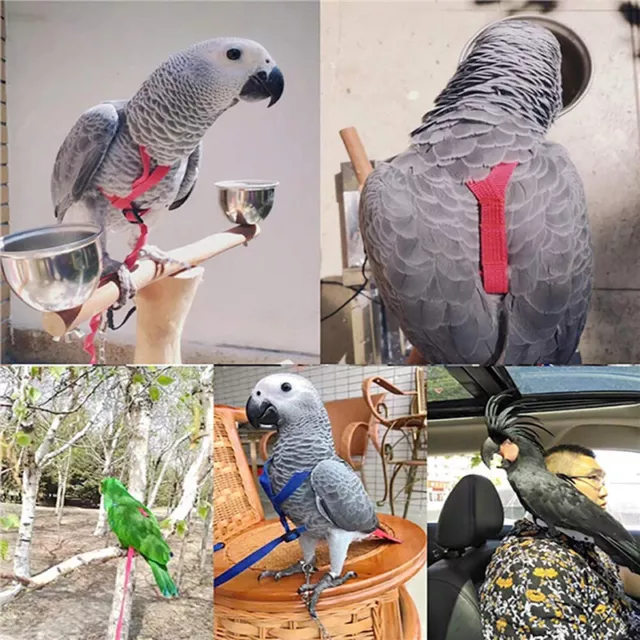 Bird Harness Adjustable Parrot Leash Bird Rope Anti Bite for All Kinds of Pa-XI 2