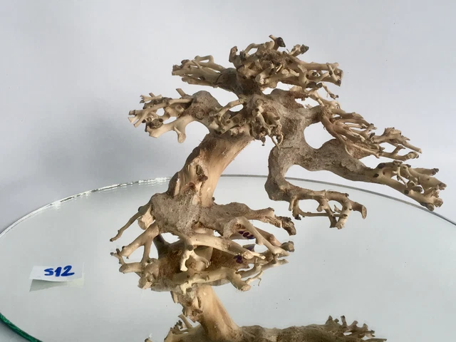 Bonsai driftwood moss tree for aquarium decor planted tank freshwater shrimp-S12