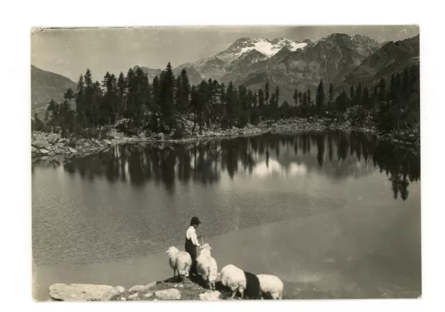 Casa Alpina di Motta Campodolcino Lago cartolina animata viaggiata 1956