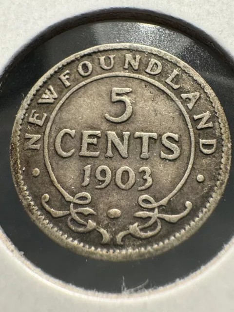 1903 5 cents NEWFOUNDLAND SILVER LOW MINTAGE!