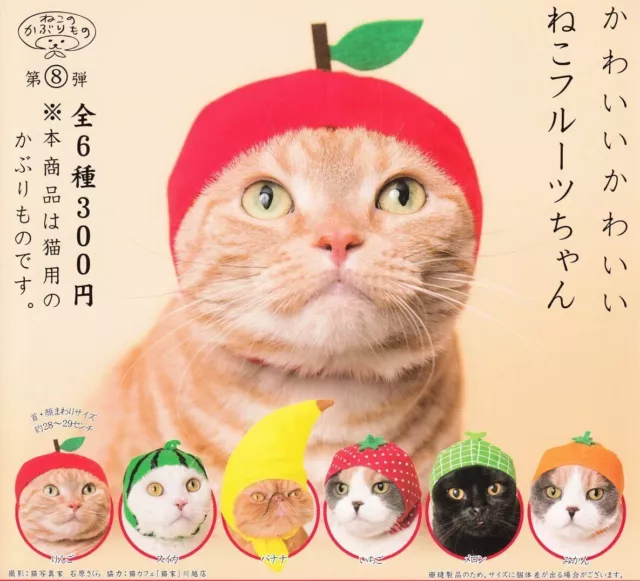 Fruits de chat mignons, toutes les 6 sortes